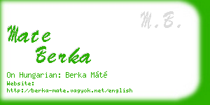mate berka business card